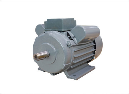YL系列(liè)雙值電容異步(bù)電動機