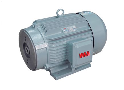 YYB系列油(you)泵專用(yòng)三相異(yì)步電動(dong)機