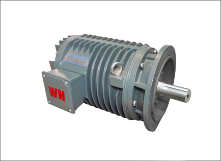 YG系(xì)列輥道用調速三(san)相異步電動機