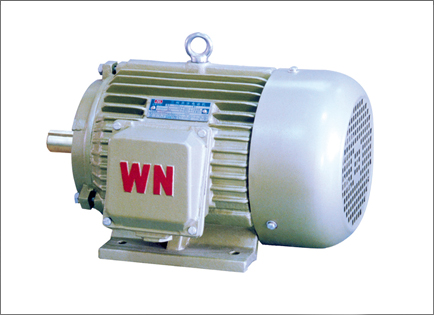 YD2系(xi)列變(bian)多速(su)三相(xiang)異步(bu)電動(dong)機